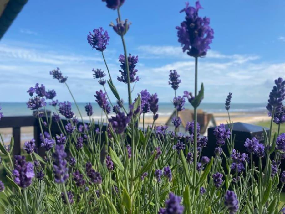 Sur La Plage / Enjoy The Beach Apartment Cabourg Luaran gambar